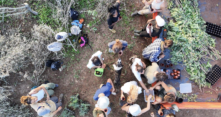 An Ecosystem Regeneration Camp in Portugal’s Vale da&nbsp;Lama