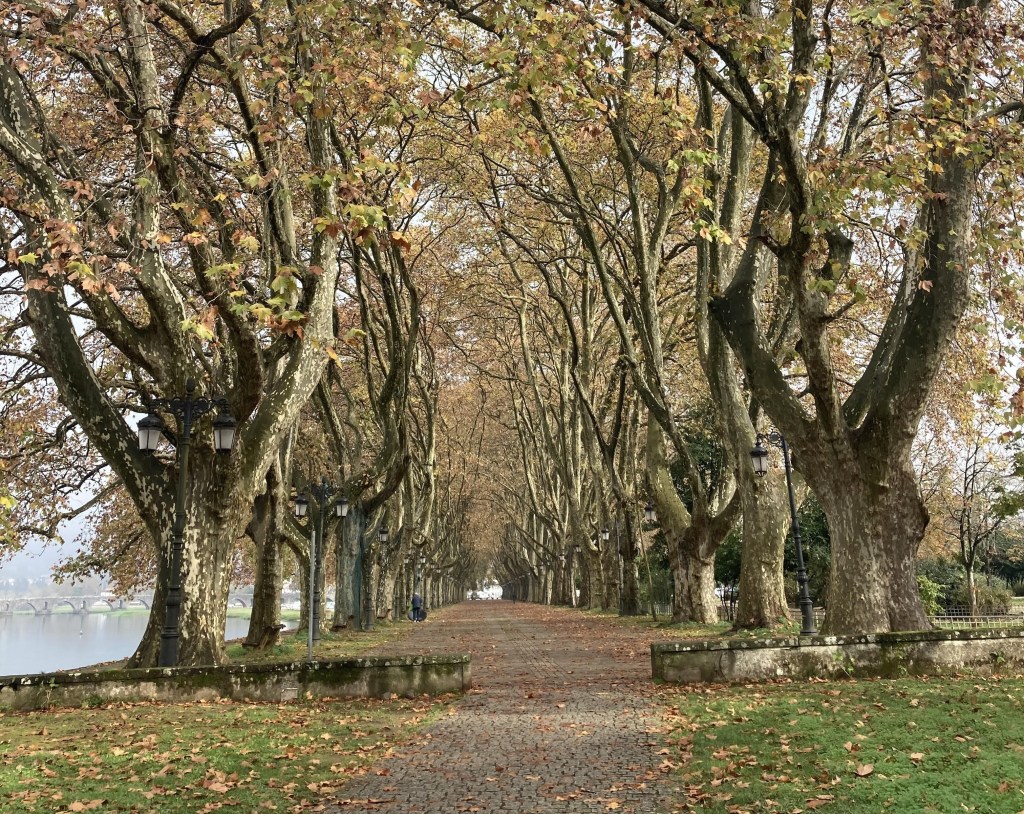 Walking the Portuguese Camino in&nbsp;Winter