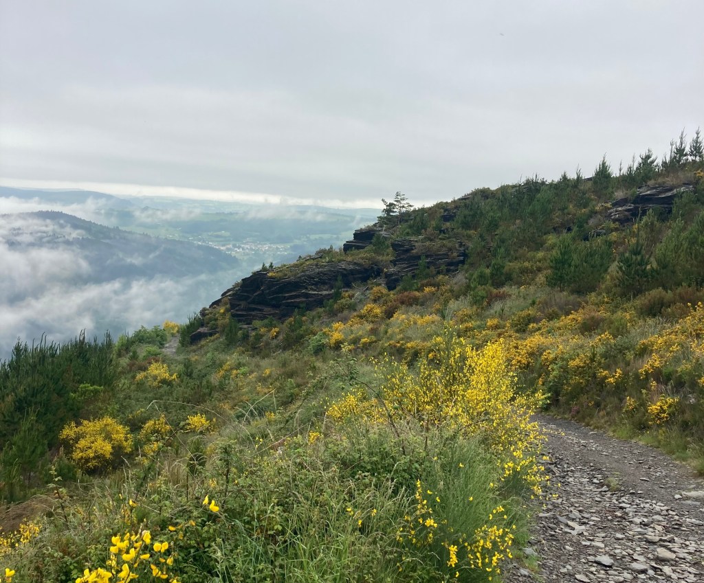 A Guide to Walking the Camino Primitivo